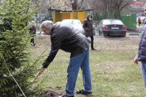 Акция по посадке деревьев и кустарников в Москворечье-Сабурове запланирована на 29 октября