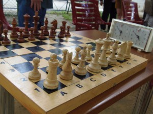 Шахматный пикник организуют в музее-заповеднике «Царицыно»