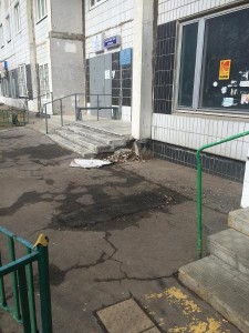 Неубранная территория на улице Кантемировская