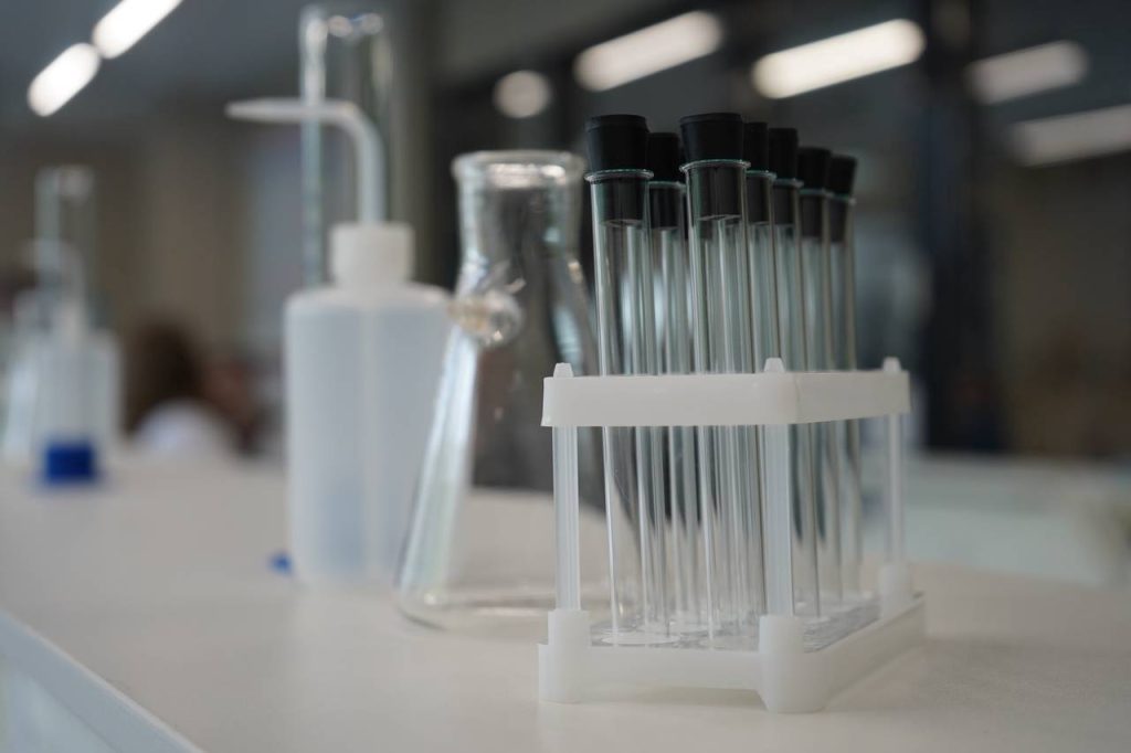 Мелкие пресноводные животные и водоросли помогают проверять воду в Москве. Фото: Анна Быкова, «Вечерняя Москва»