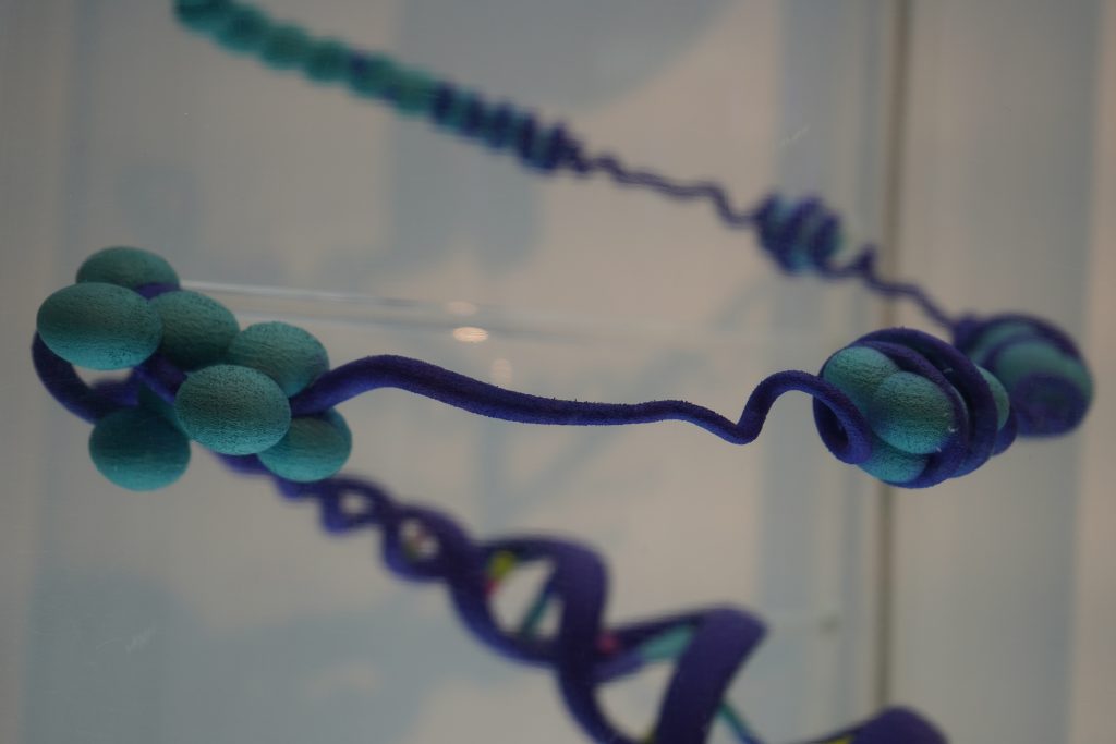 Эксперты из МГНЦ имени Николая Бочкова выступили на всероссийской конференции. Фото: Анна Быкова, «Вечерняя Москва»