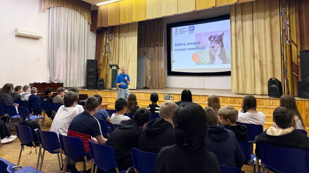 Сотрудники школы №2000 организовали практикум по зооволонтерству. Фото: страница школы №2000 в социальных сетях