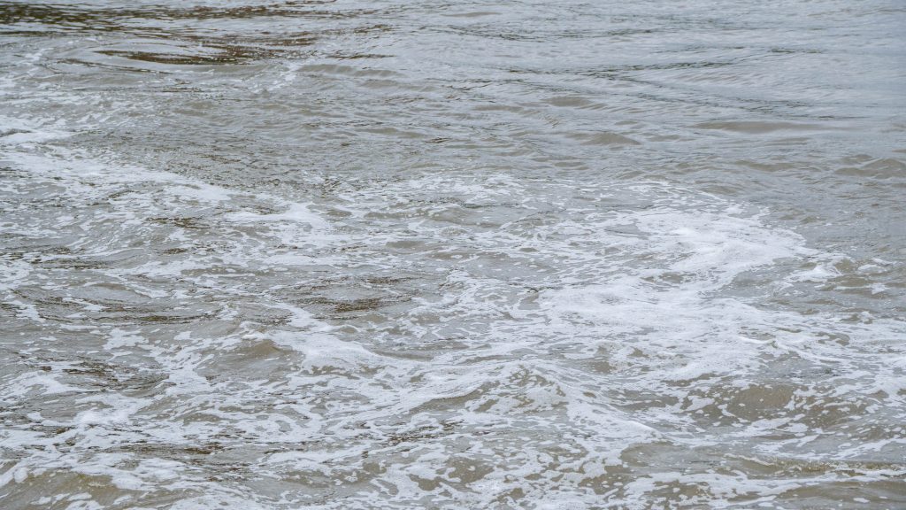 Реабилитацию Борисовского пруда проведут в 2026 году. Фото: Ксения Догонашева, «Вечерняя Москва»