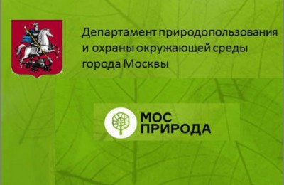 Организация массовых легкоатлетических забегов в Москве, приуроченных ко Дню охраны окружающей среды