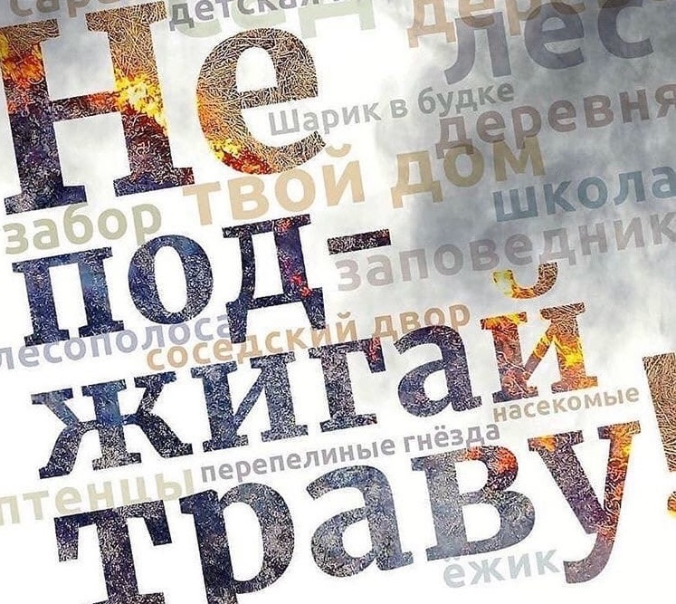 МЧС, пал травы, ШАверина, актуалка, 0204