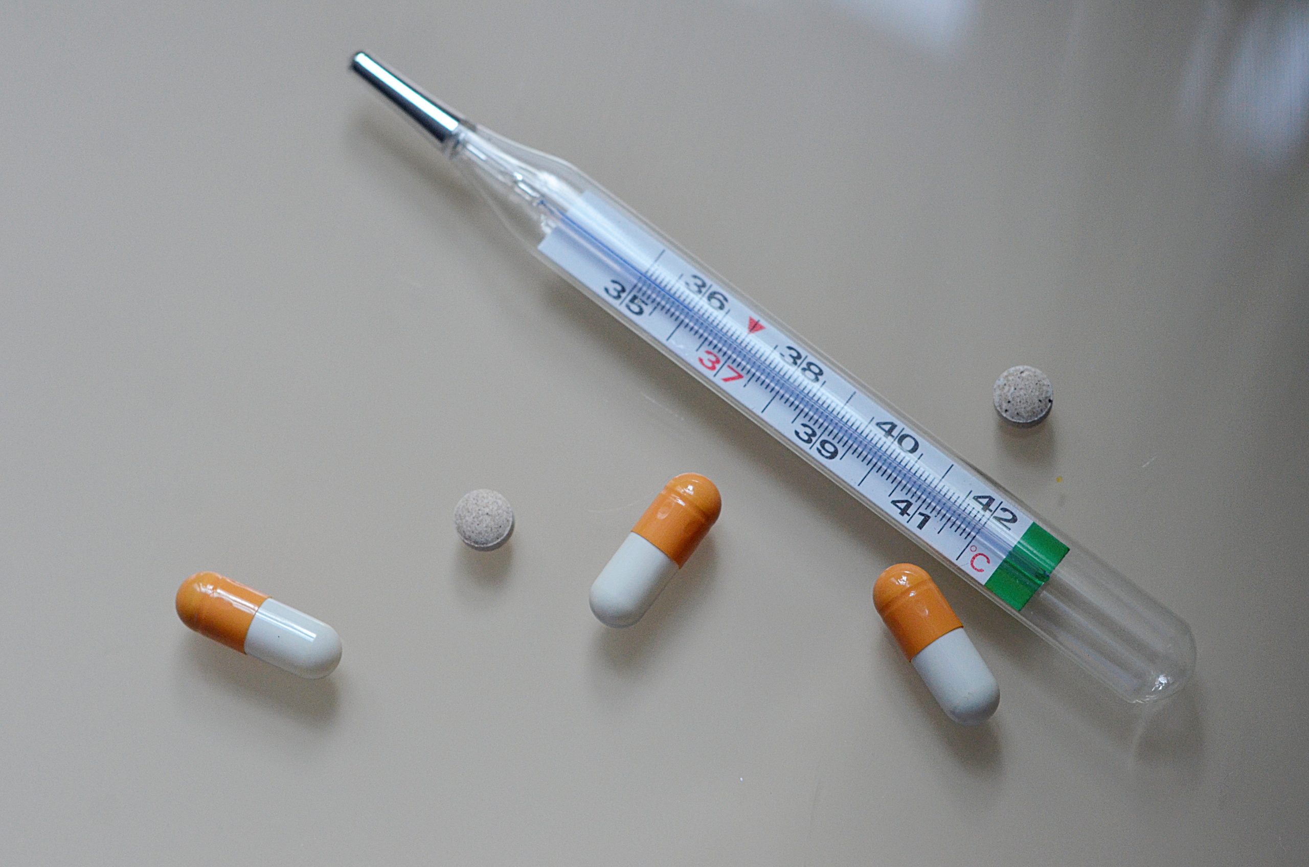 Сотрудники МГНЦ имени Николая Бочкова пригласили специалистов на курсы повышения квалификации. Фото: Анна Быкова, «Вечерняя Москва»