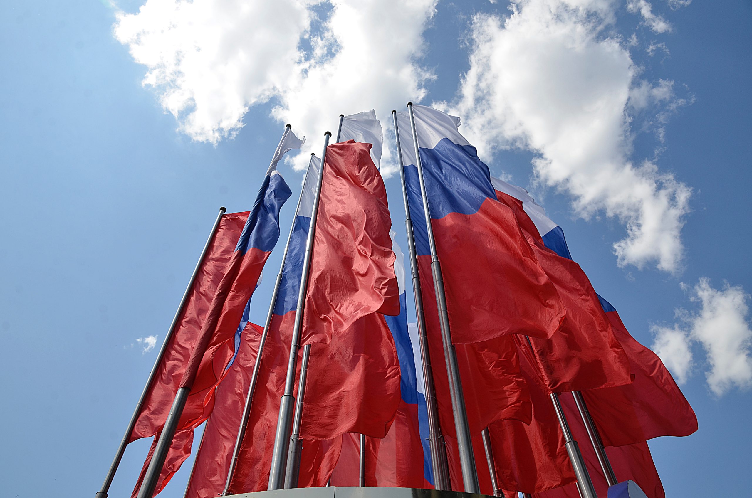 Московская система электронного голосования готова к выборам губернаторов. Фото: Анна Быкова, «Вечерняя Москва»