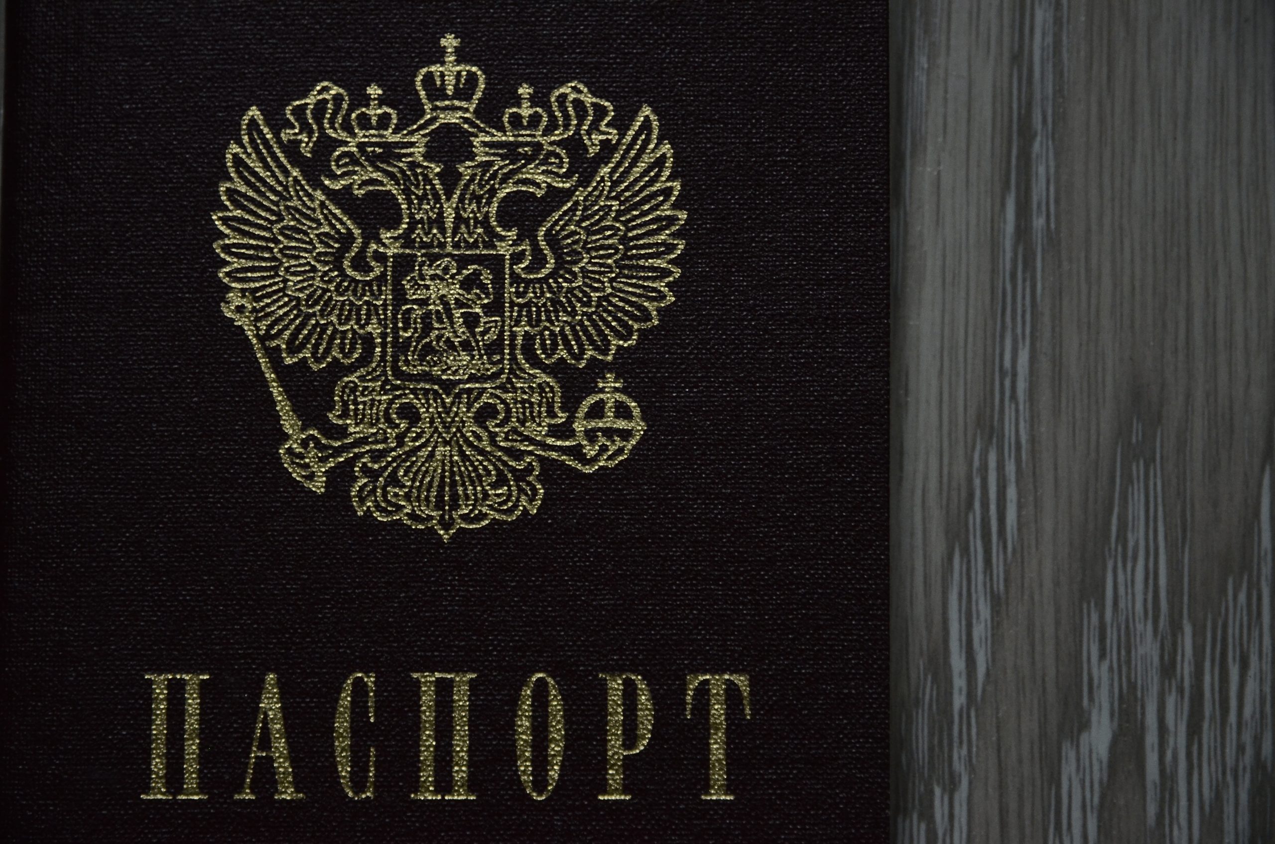 Хинштейн пригласил курян голосовать за губернатора Курской области в Москве. Фото: Анна Быкова, «Вечерняя Москва»