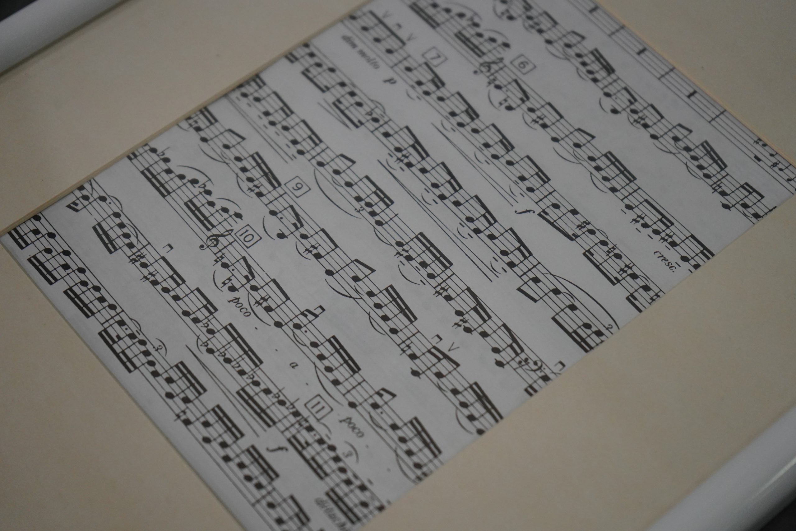 Мастер-класс по народному пению проведут в Москворечье-Сабурове. Фото: Анна Быкова, «Вечерняя Москва»