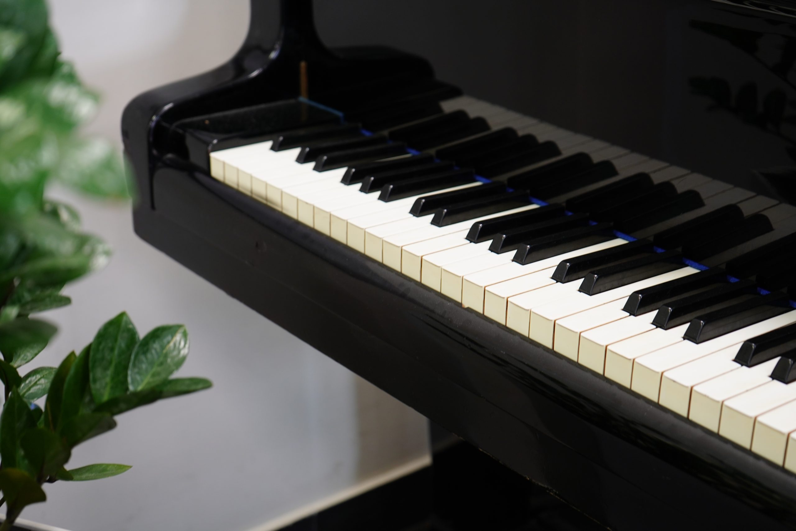 Концерт ко Дню музыки и ко Дню учителя пройдет в ДШИ имени Святослава Рихтера. Фото: Анна Быкова, «Вечерняя Москва»