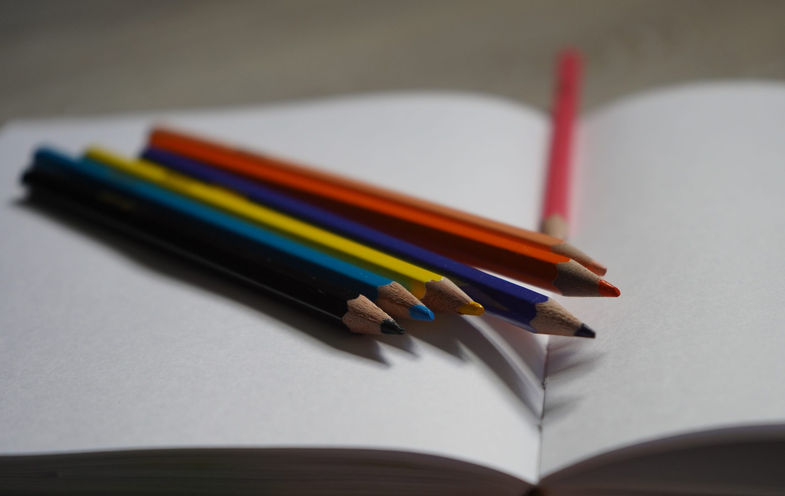 Представители Молодежной палаты Москворечья-Сабурова организуют творческий мастер-класс. Фото: Анна Быкова, «Вечерняя Москва»