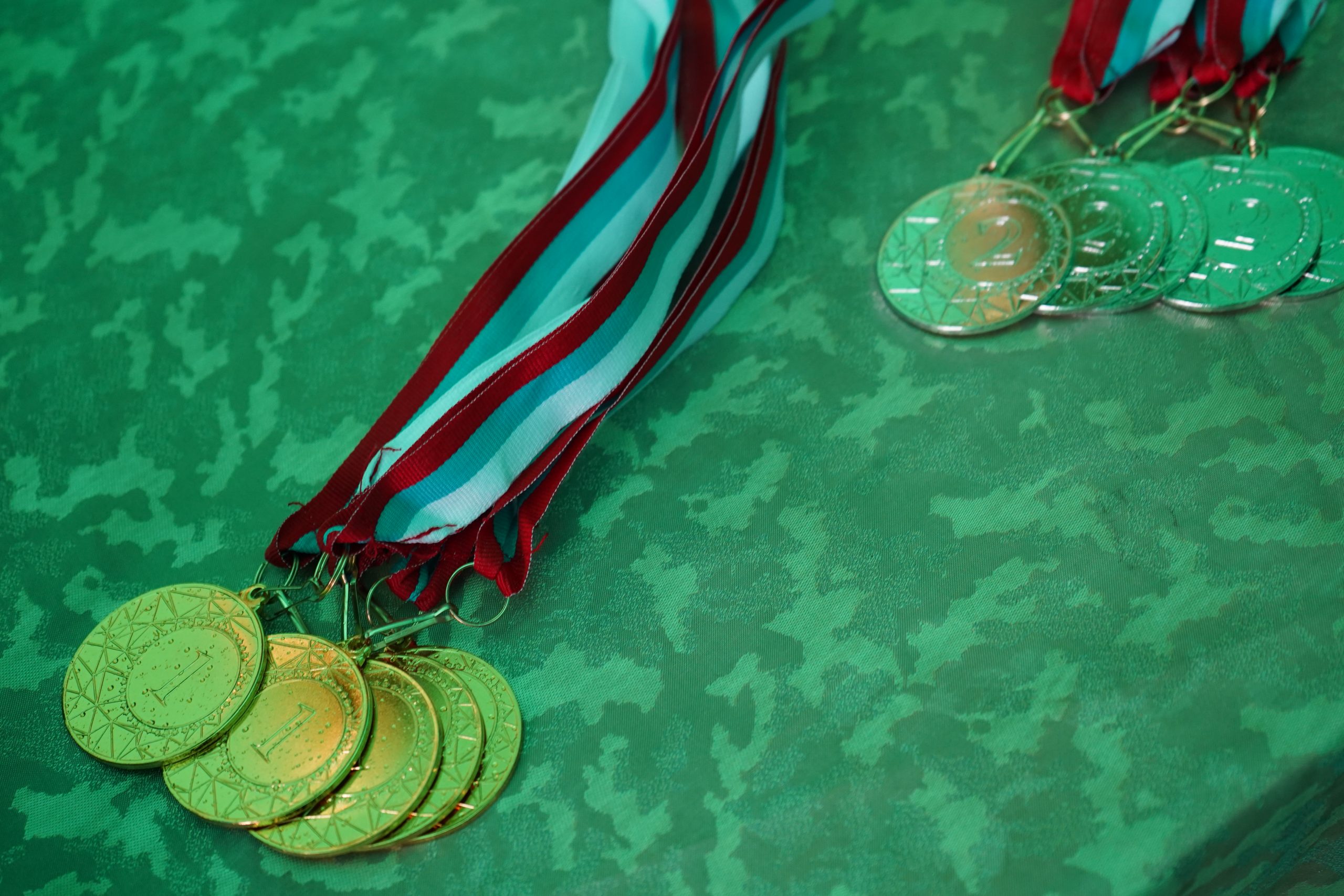 Соревнование по новусу от ОКЦ ЮАО состоится в Москворечье-Сабурове. Фото: Анна Быкова, «Вечерняя Москва»