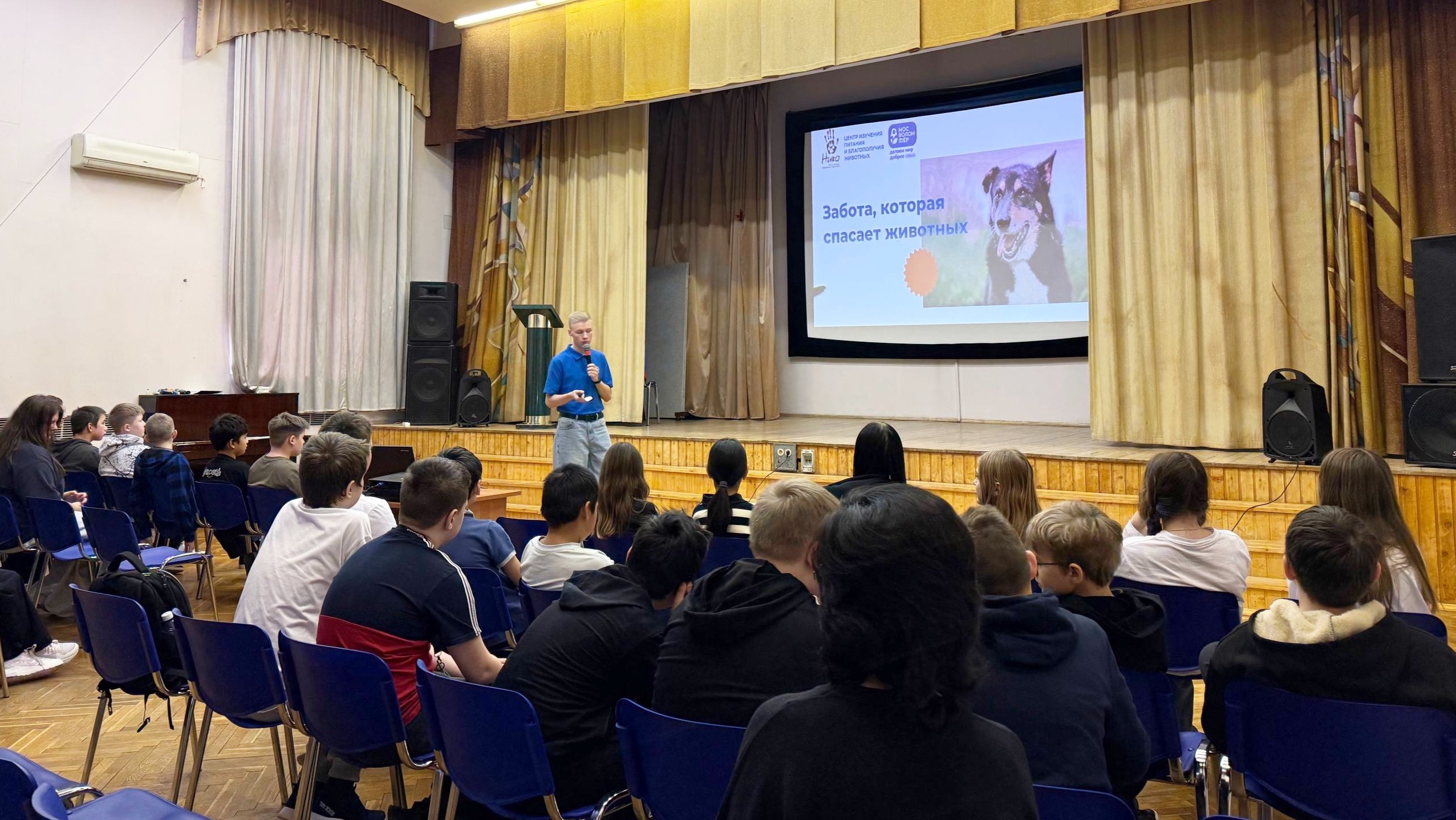 Сотрудники школы №2000 организовали практикум по зооволонтерству. Фото: страница школы №2000 в социальных сетях