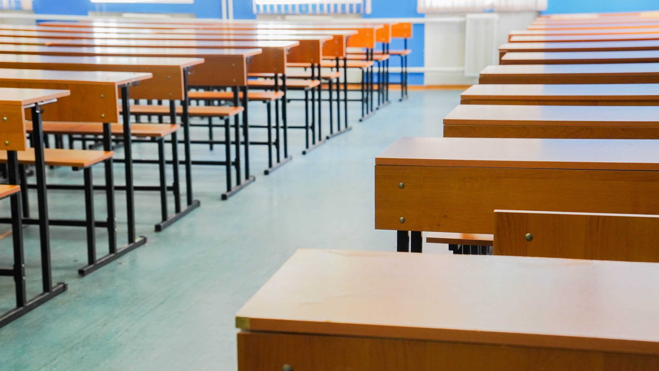 Для учеников школы «Наследник» организовали встречу со студентами МГУ. Фото: Ксения Догонашева, «Вечерняя Москва»