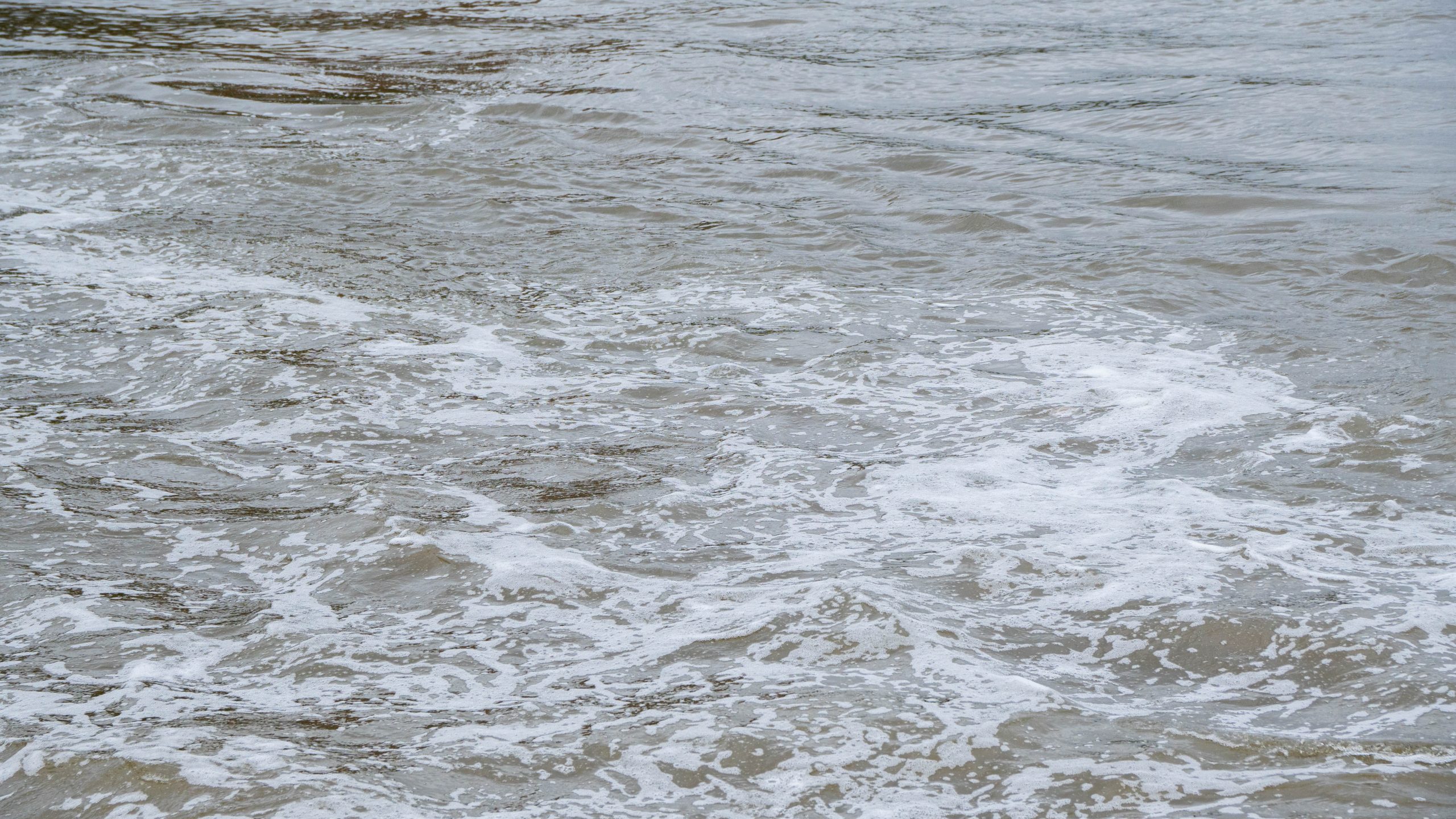 Реабилитацию Борисовского пруда проведут в 2026 году. Фото: Ксения Догонашева, «Вечерняя Москва»