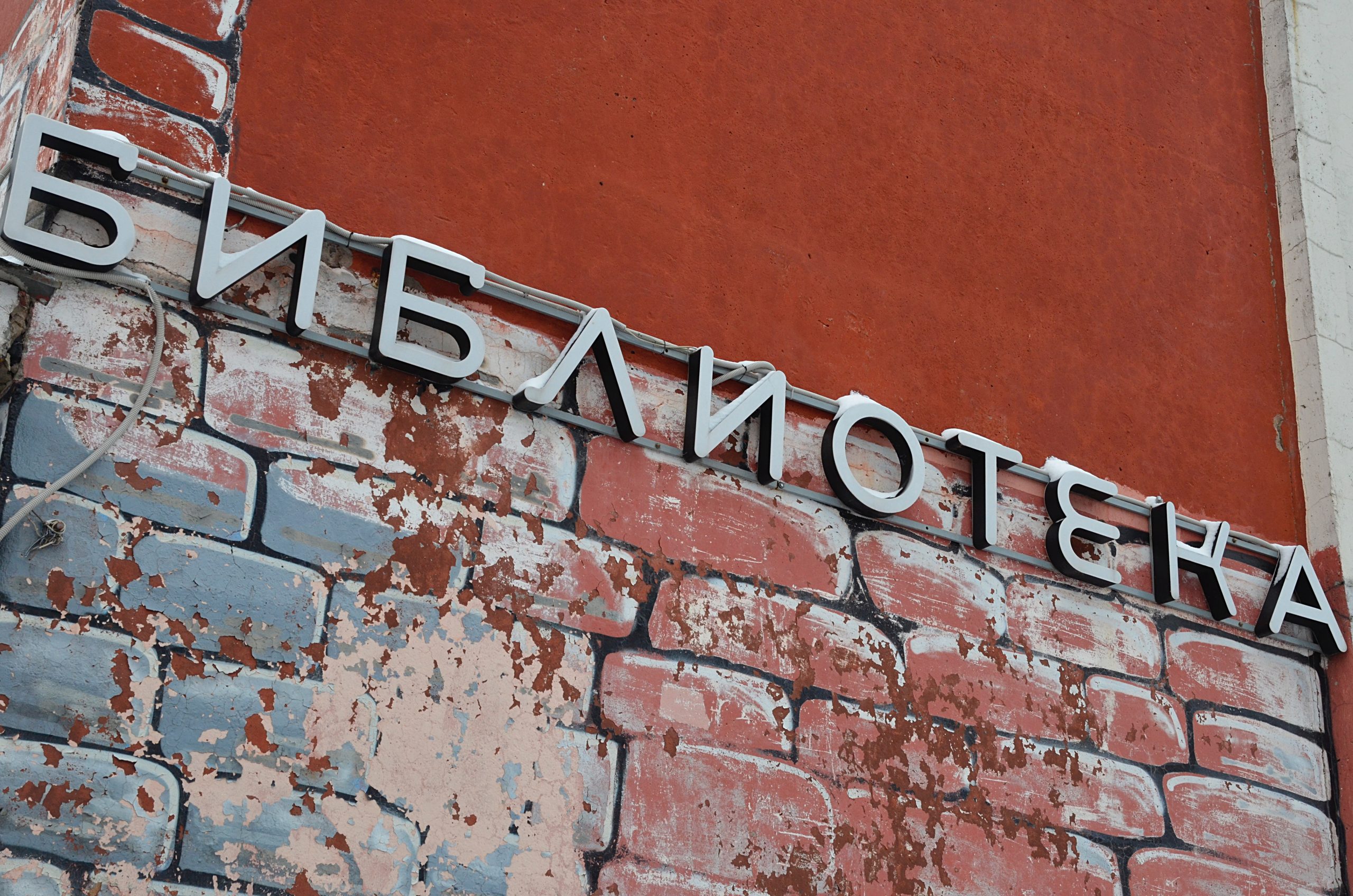 Выставка ко Дню кошек состоится в библиотеке №167. Фото: Анна Быкова, «Вечерняя Москва»